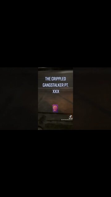 Gang-stalking in Action : The TikTok Edition on YouTube : The Crippled Gangstalker Pt. XXIX