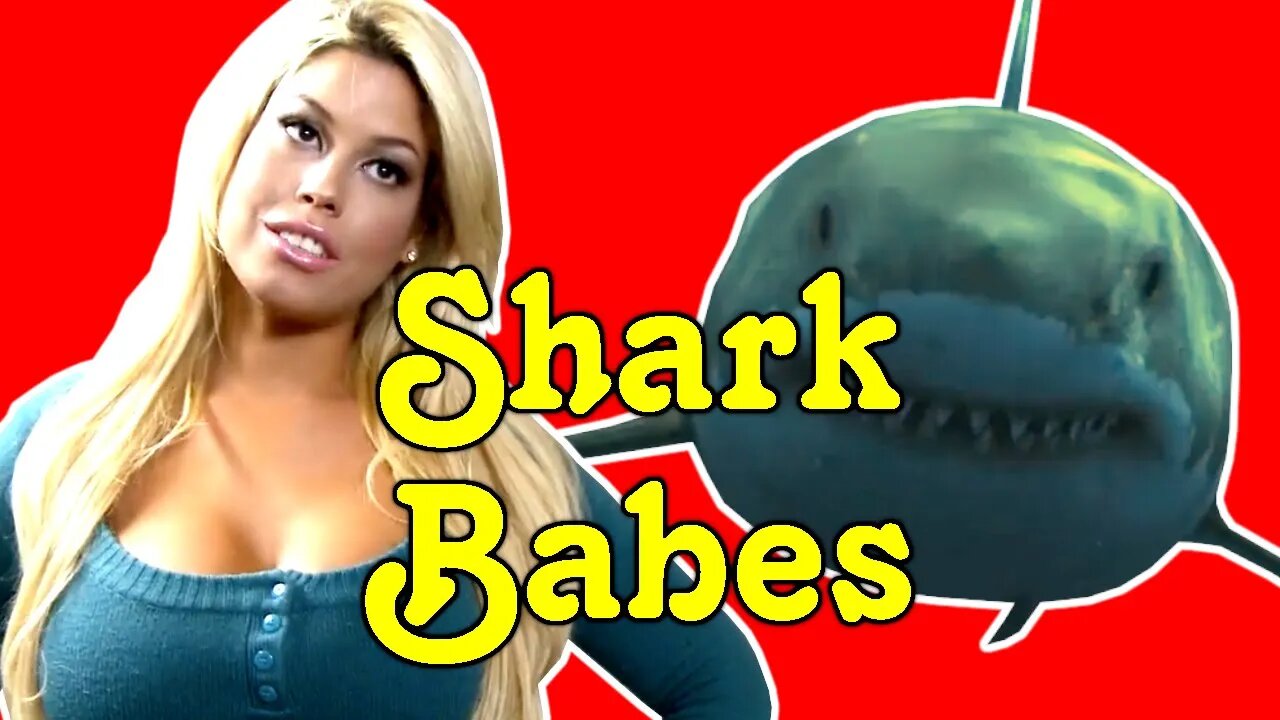 What Happens in Shark Babes?