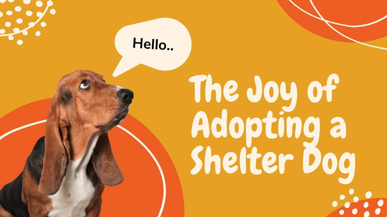 "Second Chances: Finding Happiness through Rescue Dog Adoption"