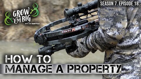 How to Manage a Deer Hunting Property