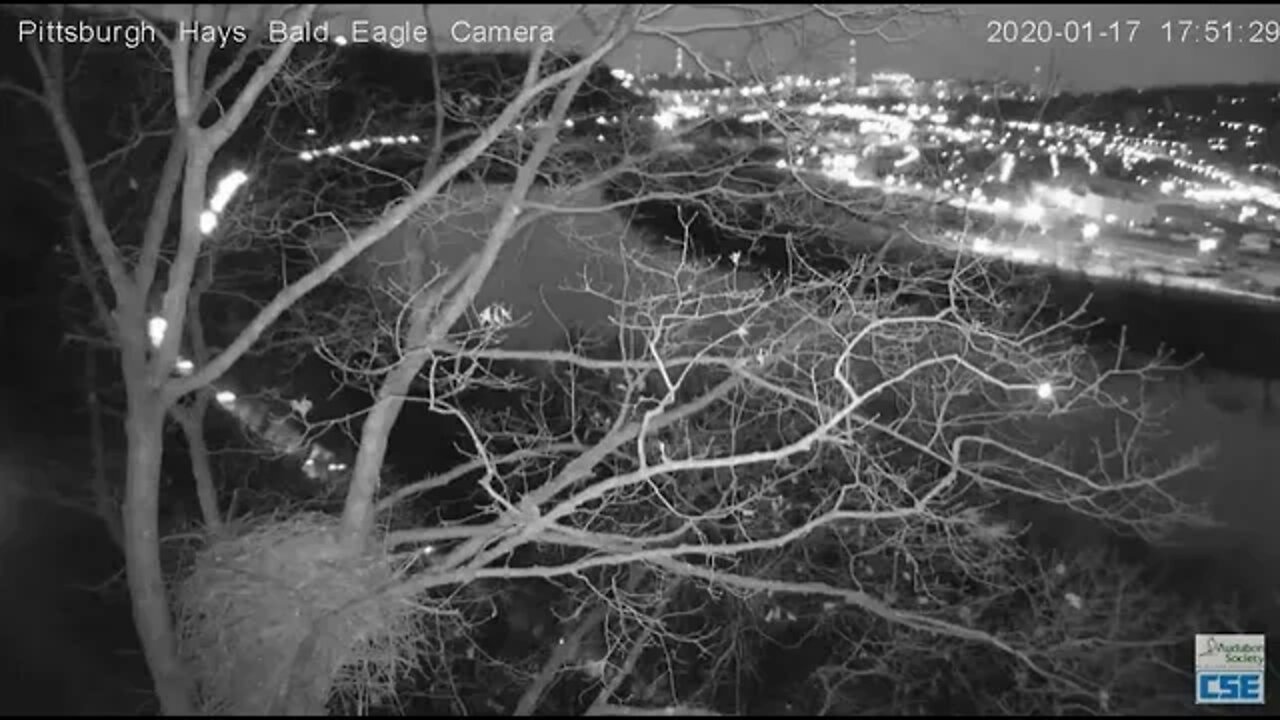 Hays Eagles ooops 2020 01 17 175129 356p