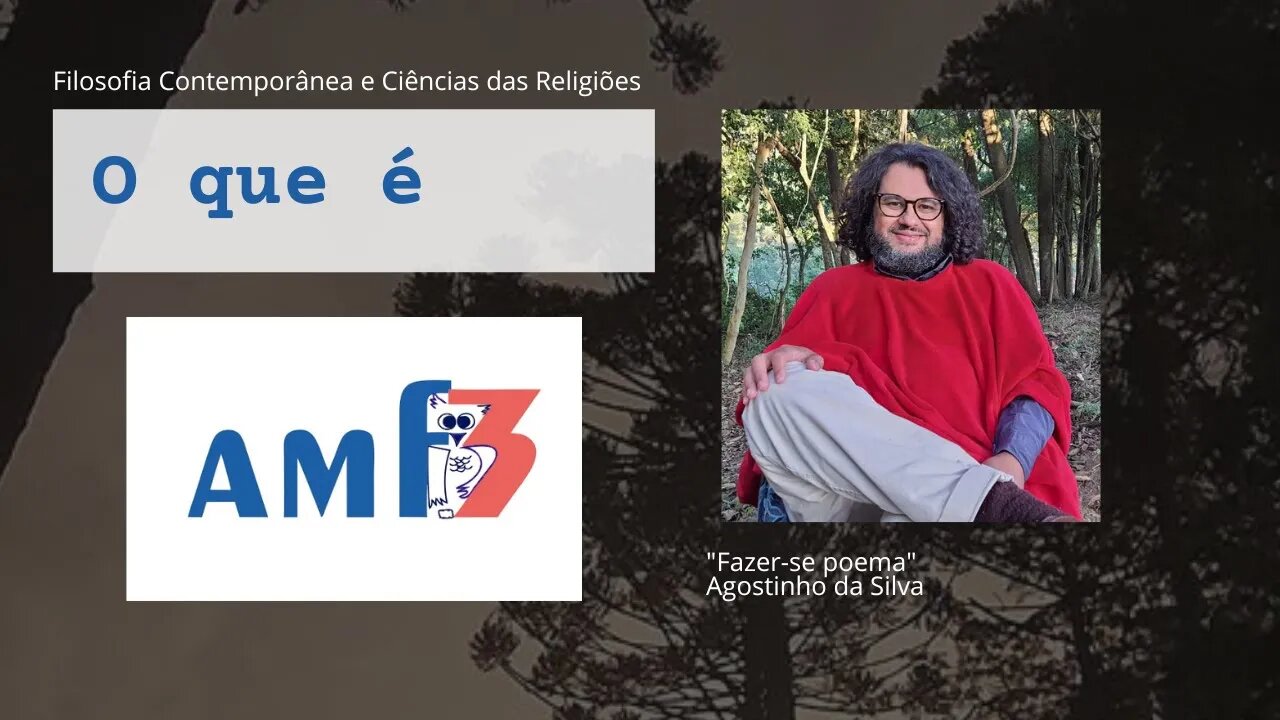 o que é AMF3?