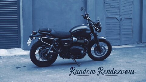 Random Rendezvous - Donna Polaris.
