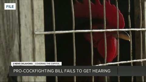 Pro-Cockfighting Bill Fails to Get Hearing