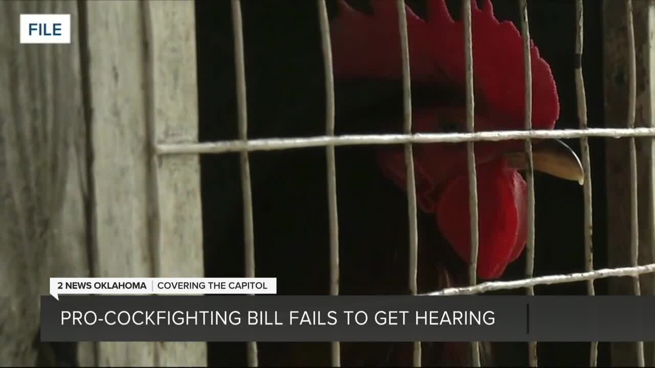 Pro-Cockfighting Bill Fails to Get Hearing