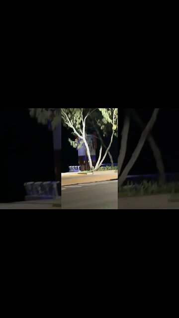 New day, New opportunities, Accomplish your mission. #shorts #short #twitch #youtubeshorts