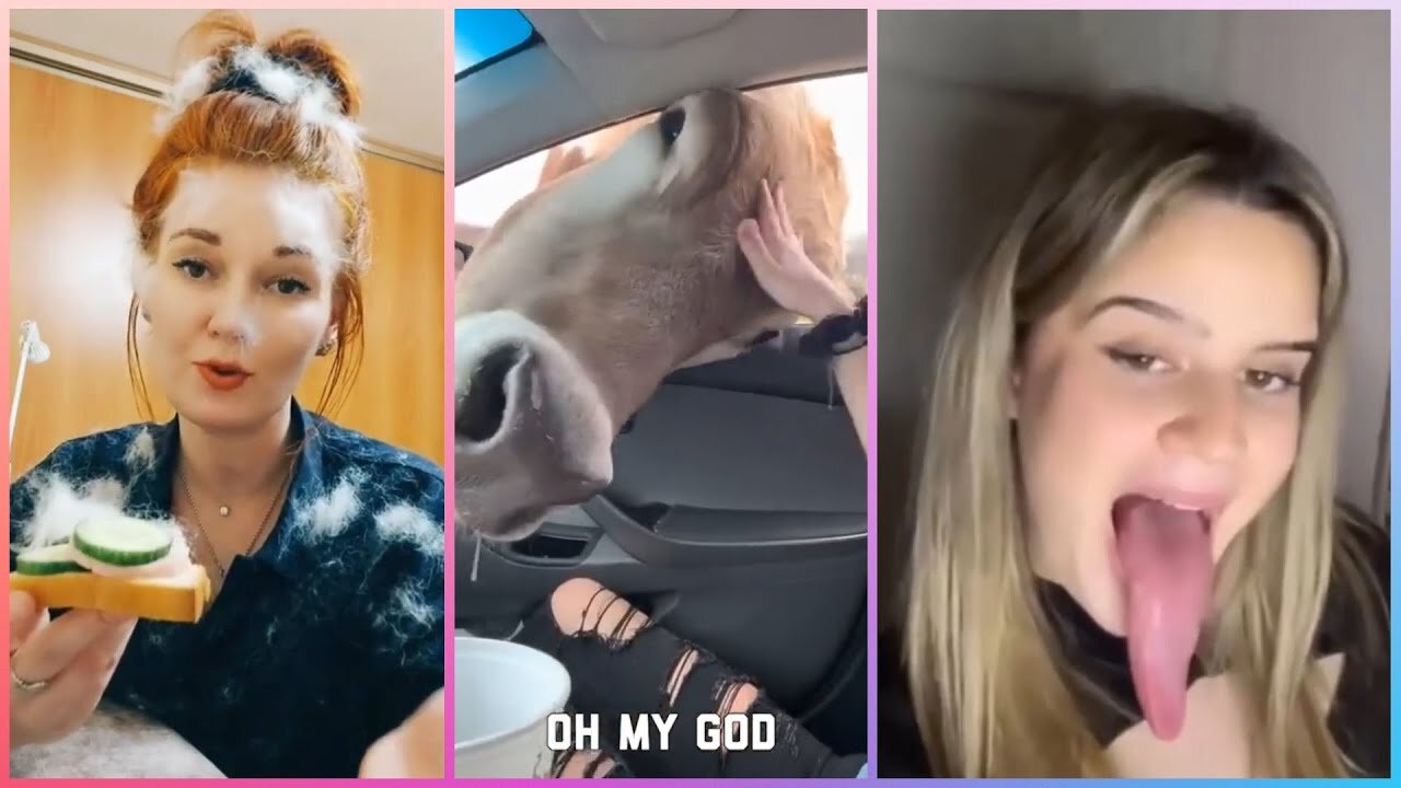 Funny Video 2015, Only The Best Funny Video