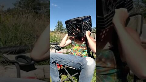 #skitsbystrangedanimal