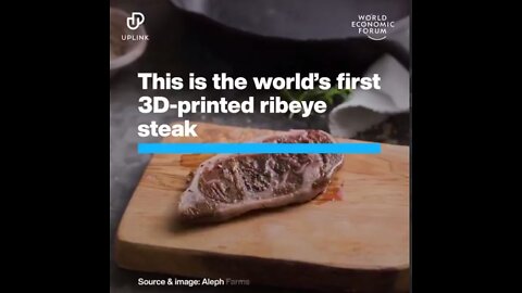 WEF 3D-Printed Meat