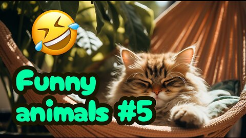 Funny Animals Compilation #5 - #Pets&Giggles #Animals #funny