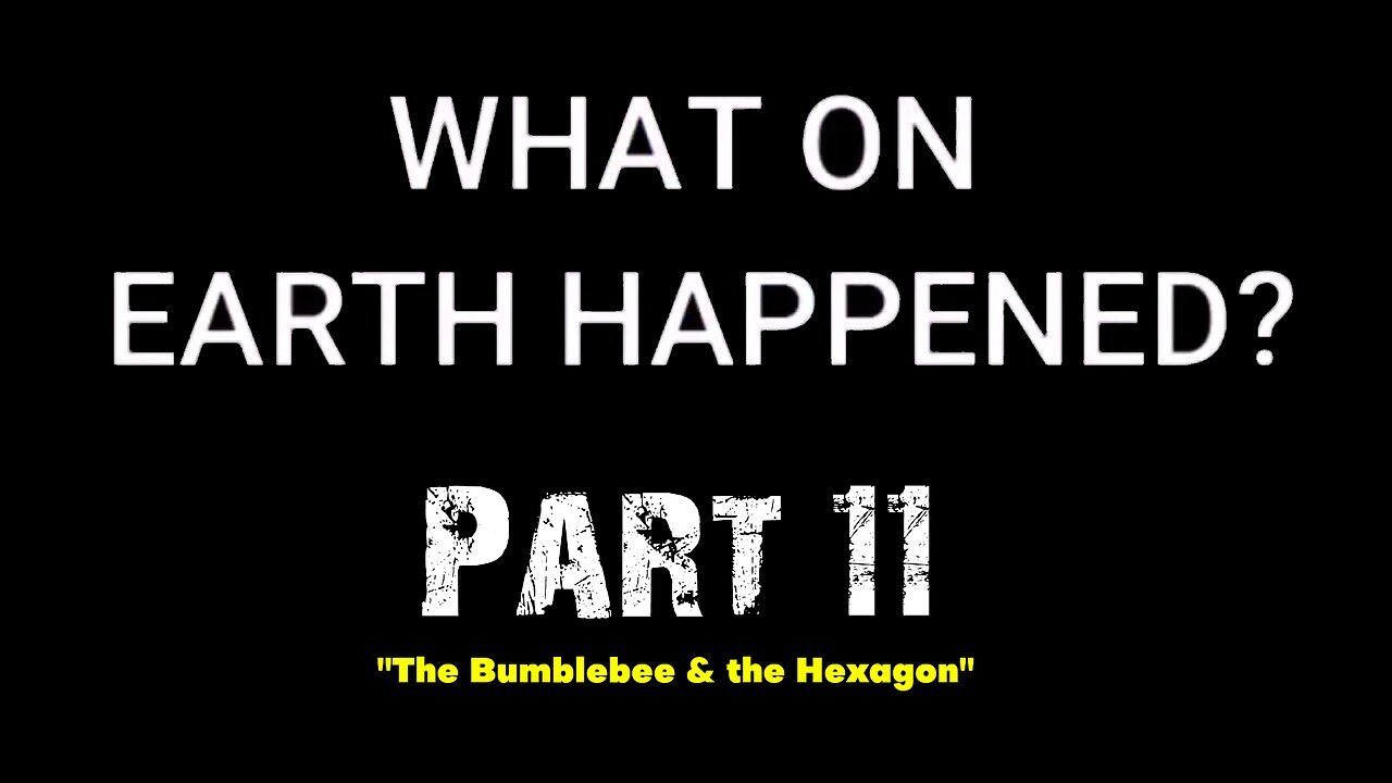 What on Earth Happened? - Part 11 - The Bumblebee & the Hexagon