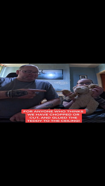 Showing the teddy that was stuck halfway through a portal.