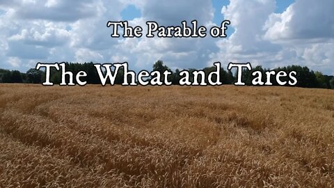 Parable of the Wheat and Tares