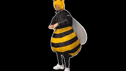 The Ultimate Donald Trump Bee Meme! 🐝