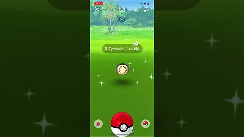 Shiny Compilation