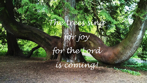 Sing Joyful Praises To The Lord