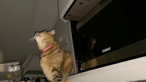 Something is on the ceiling.