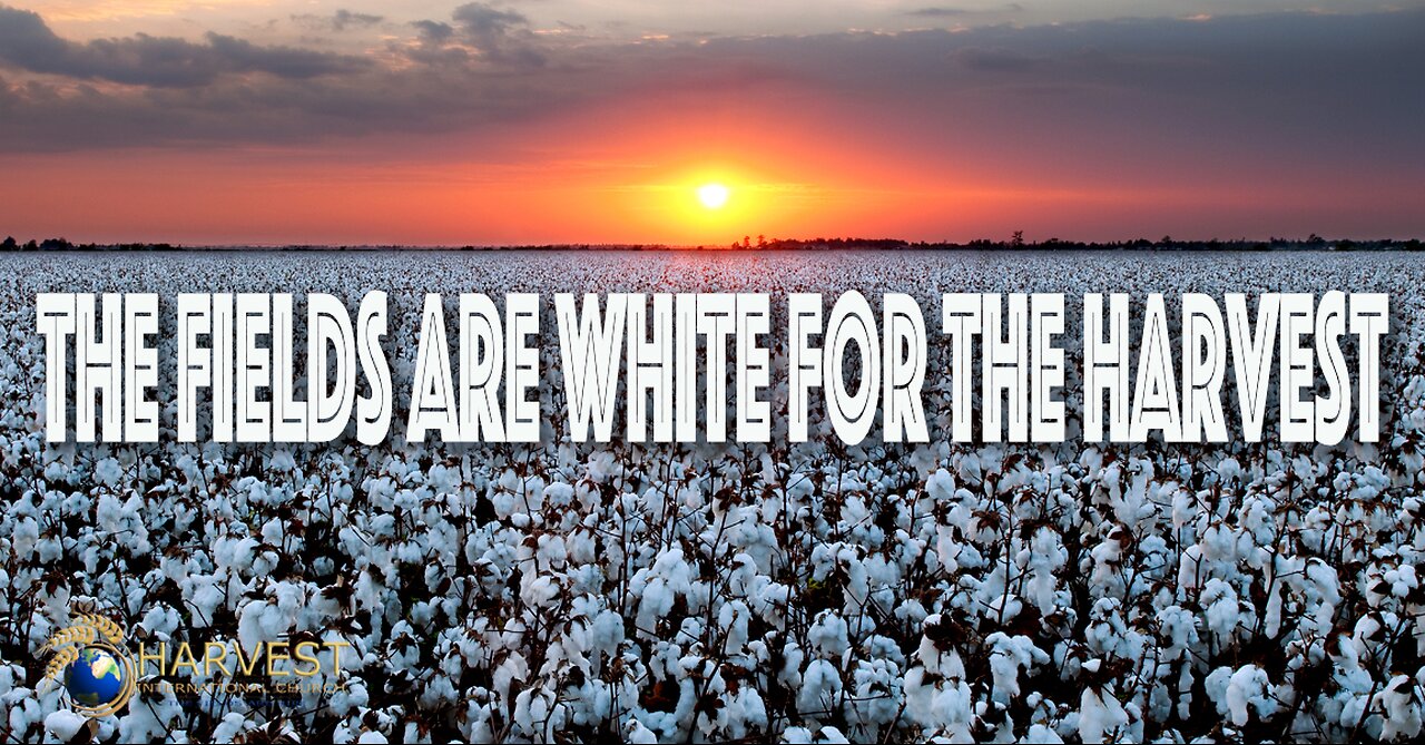 The fields are white for the harvest!