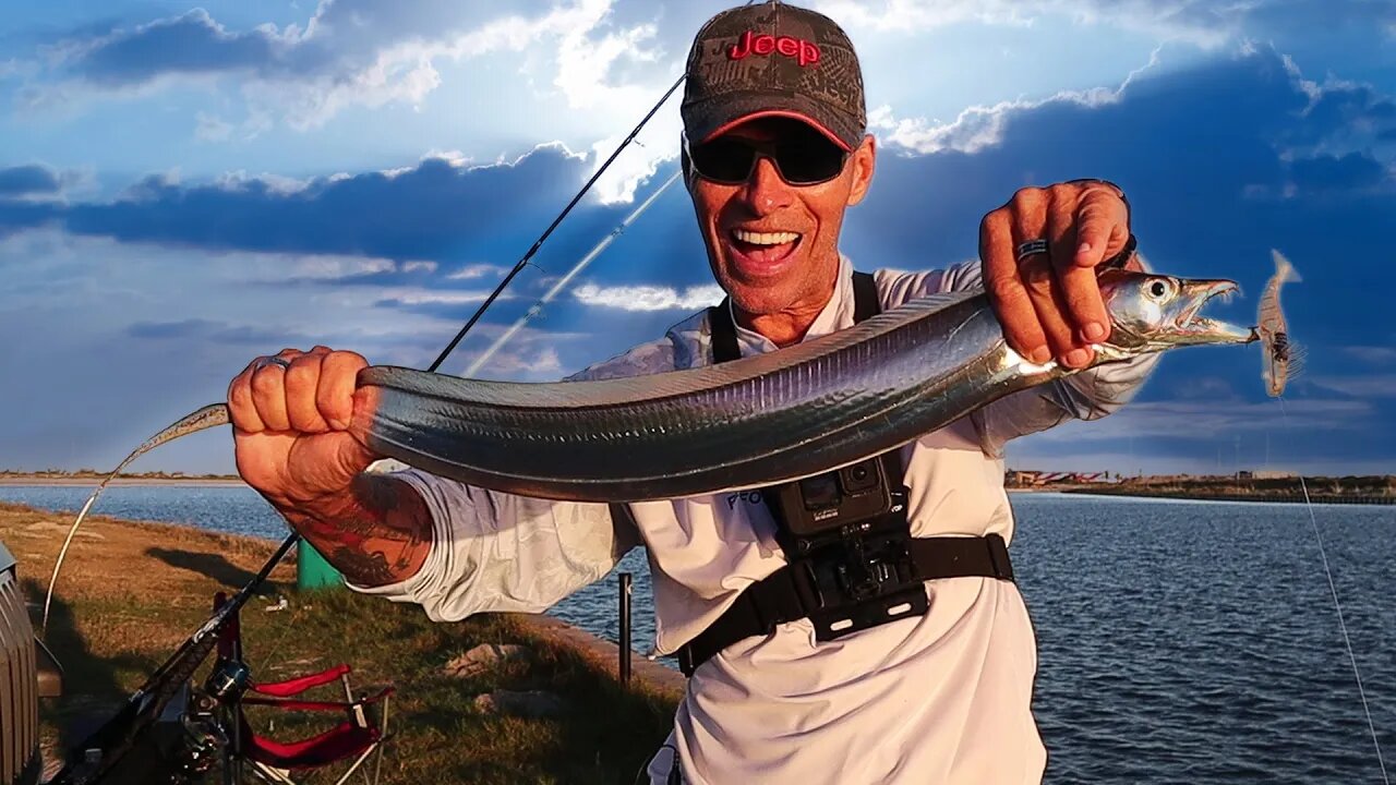 Caught this toothy SEA CREATURE at Packery Channel Padre Island