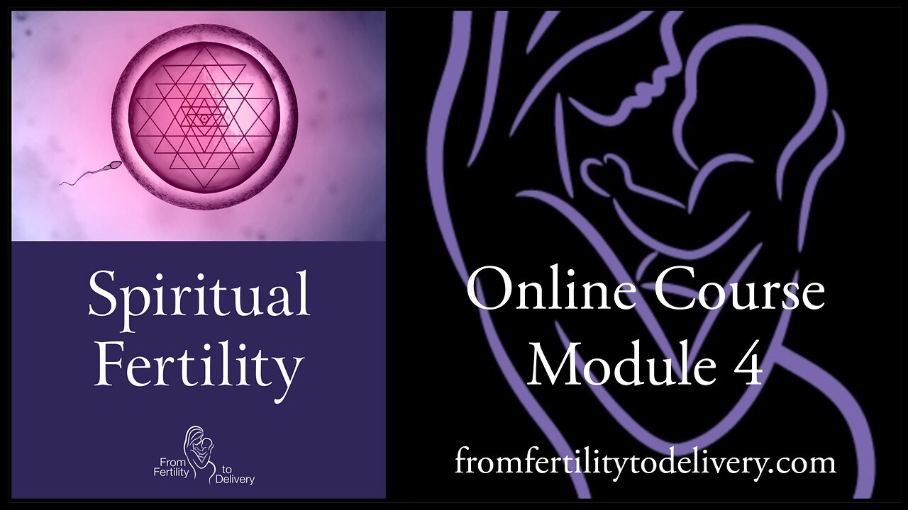 Module 4 ~ Spiritual Fertility Online Course