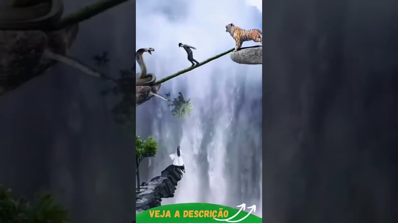 OQUE VOCÊ FARIA ENTRE DOIS ANIMAIS SELVAGENS #shorts