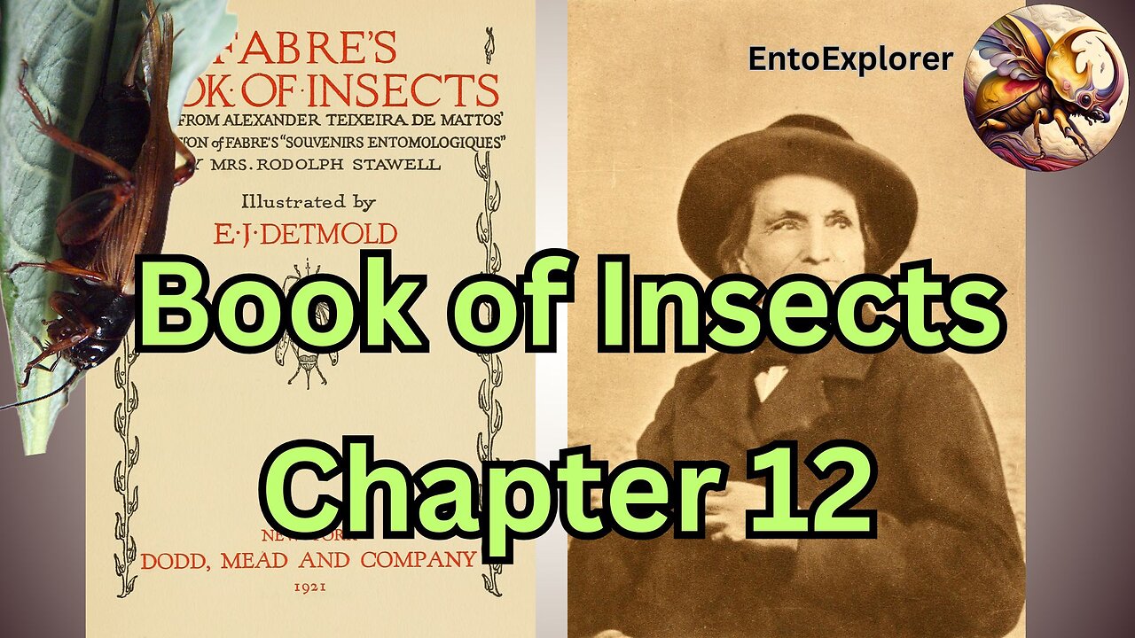 The Life of the Cricket - Book of Insects Chapter 12 by Jean-Henri Fabre