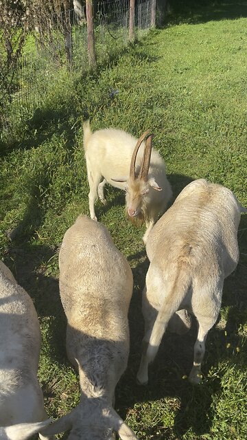 The Boys Are Ready To Go Meet Their Ladies Next Month