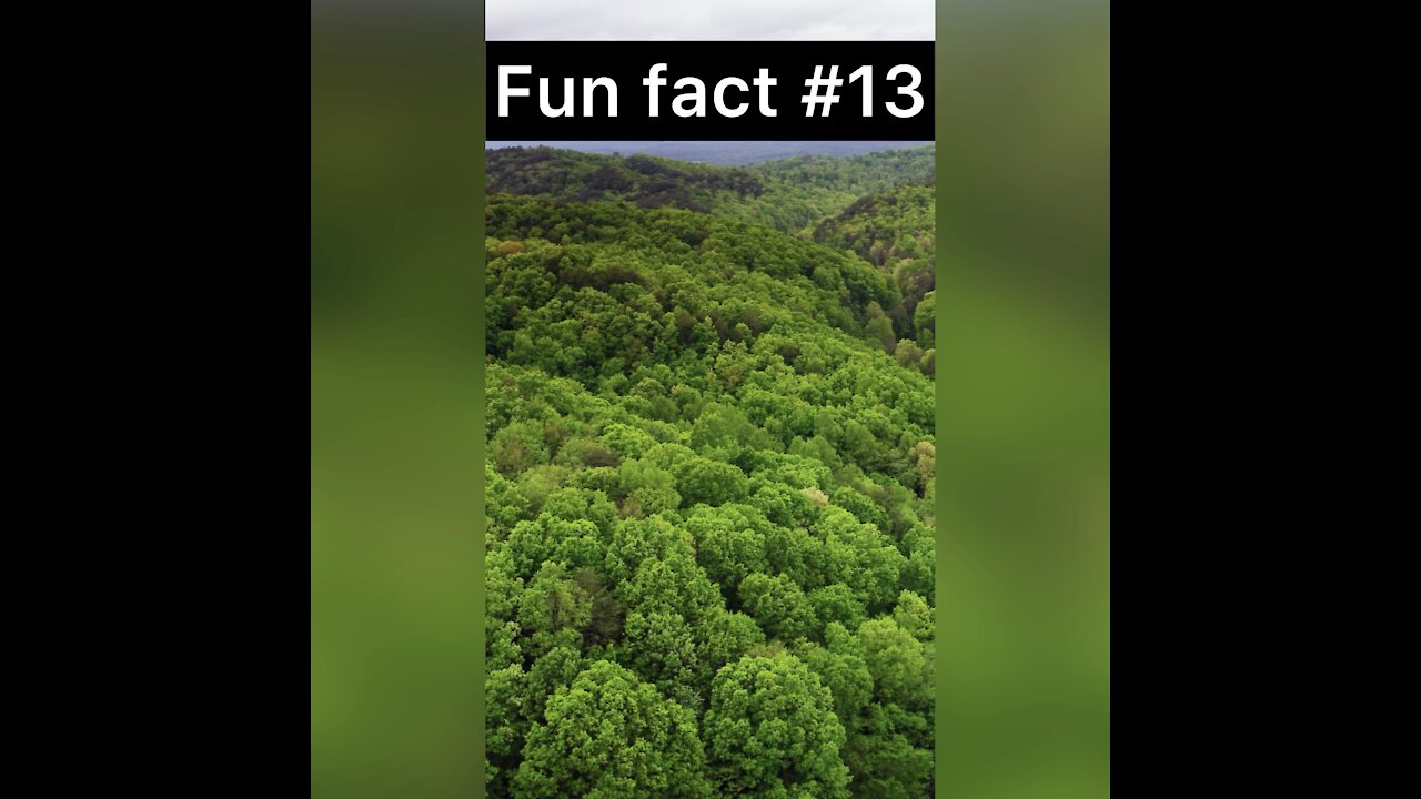 Did you know this about Montana