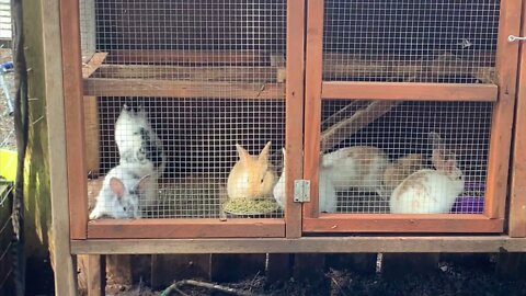 Update on how everybody’s doing