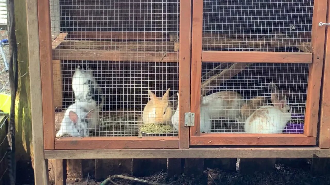 Update on how everybody’s doing