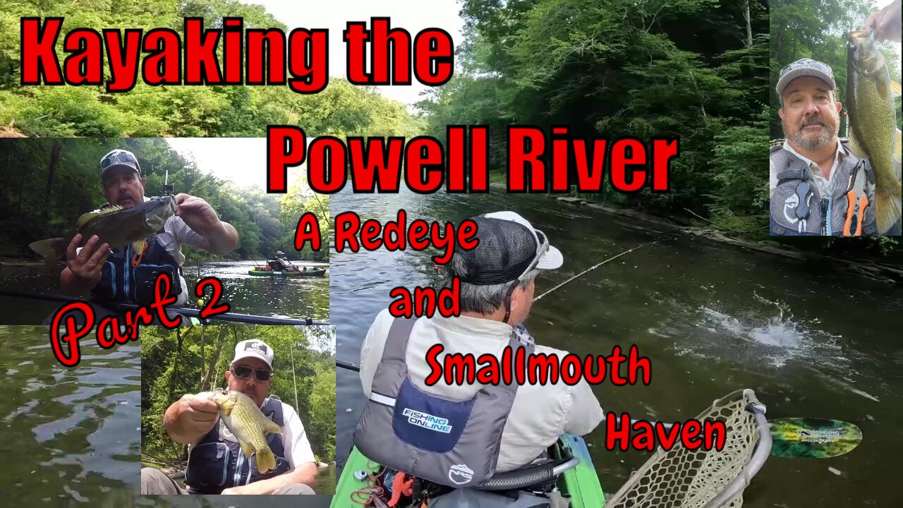 Kayaking the Powell River, A Smallmouth and Redeye haven (Part 2)