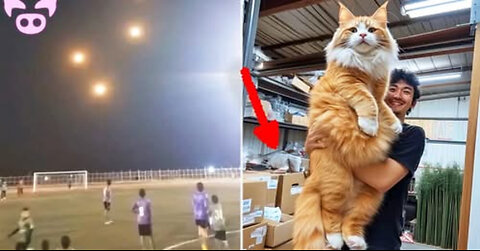 You Won't Believe What This Man Caught on Camera: Frightening Footage Stuns the Internet