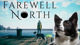 Farewell North - On A Emotional Journey, With My Cute Border Collie