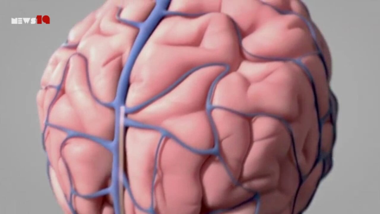 Propaganda Video - Transhumanism and BRAIN COMPUTER INTERFACE aim to end free will | NEWS-19