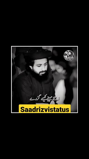 saad rizvi status