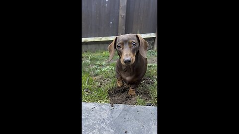 Sally digging for Gold!