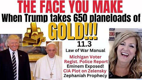 650 PLANES OF GOLD! 11-3 LAW OF WAR, MI VOTER REG SCANDAL, EMINEM 8-9-23