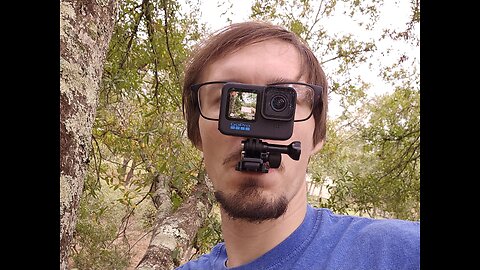 POV: You're Climbing A Tree