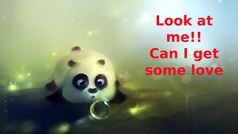 Cute Panda Funny Panda Moment