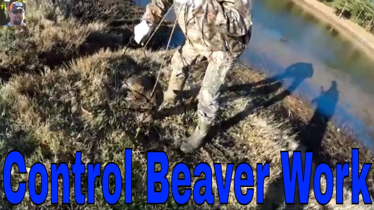 Beaver Trapping Round Two