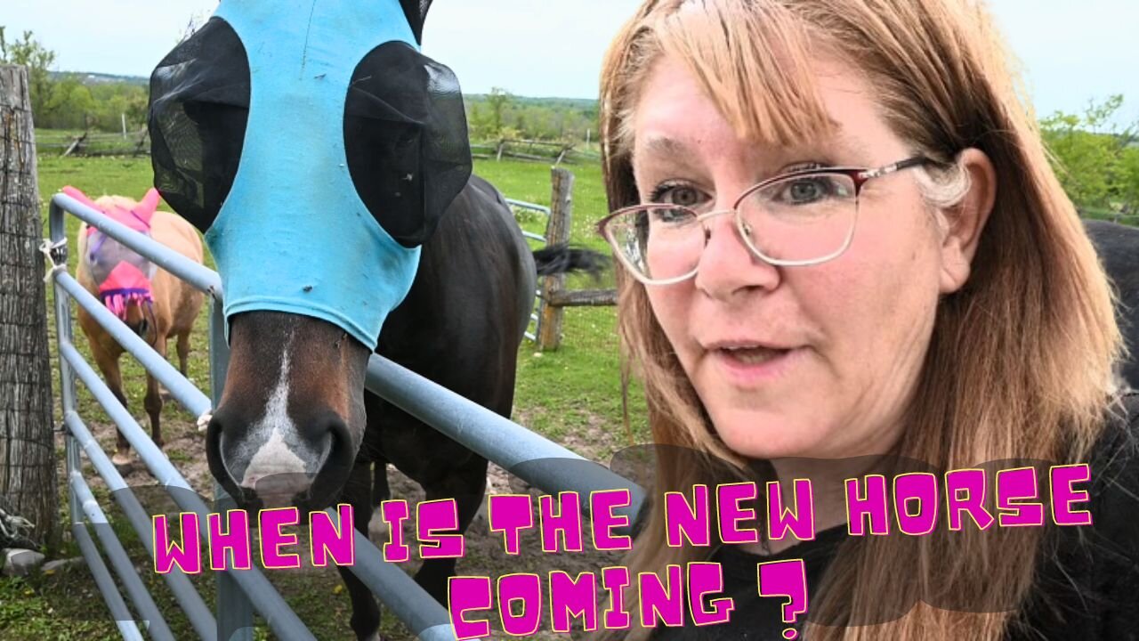 When Is The New Horse Coming And Where Is She Going To Stay