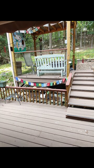 Our Own Dog Park 🥰