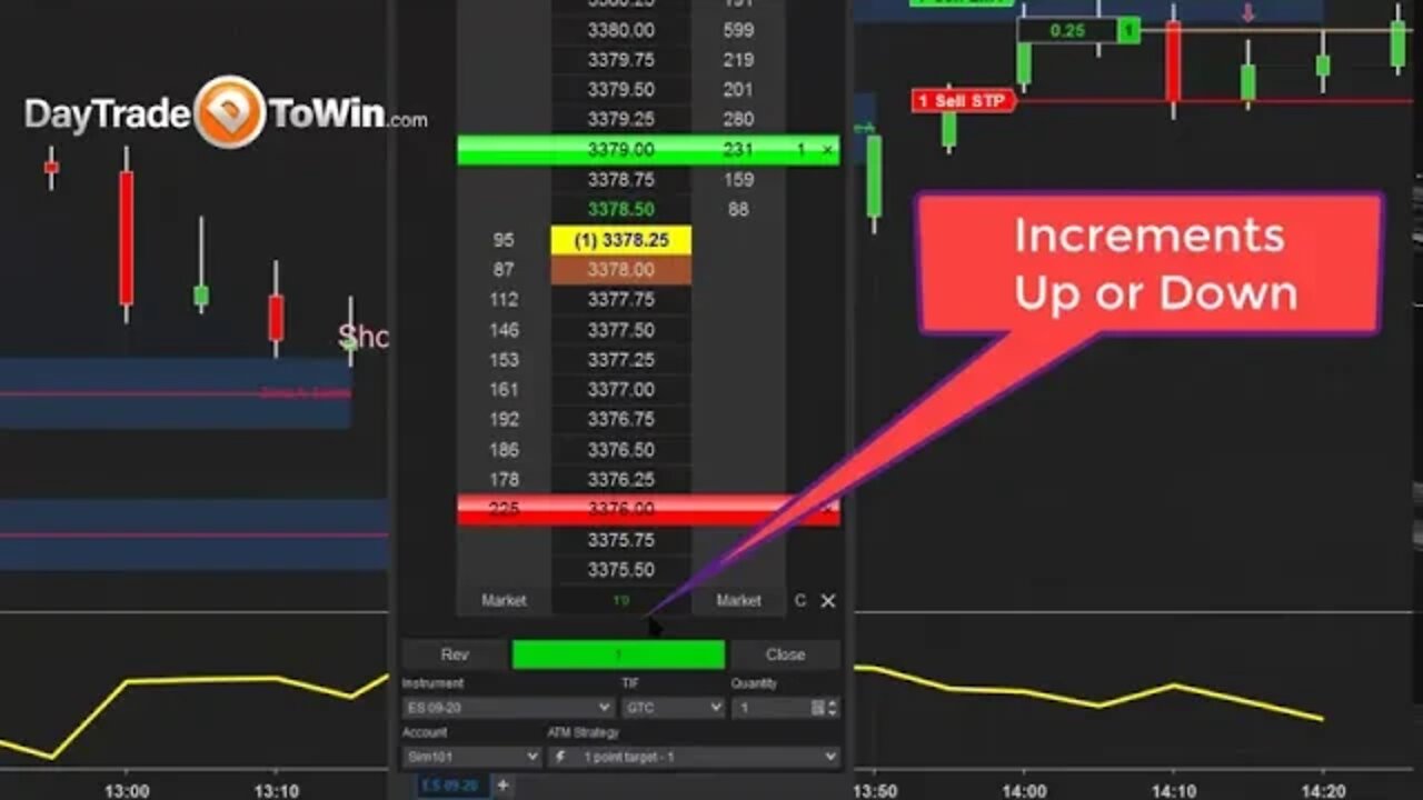 See Real-time Win/Loss - Dollar Amounts - Percentage When Trading on the Price Ladder / DOM