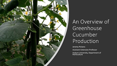 An Overview of Cucumbers Grown in Hydroponic Systems