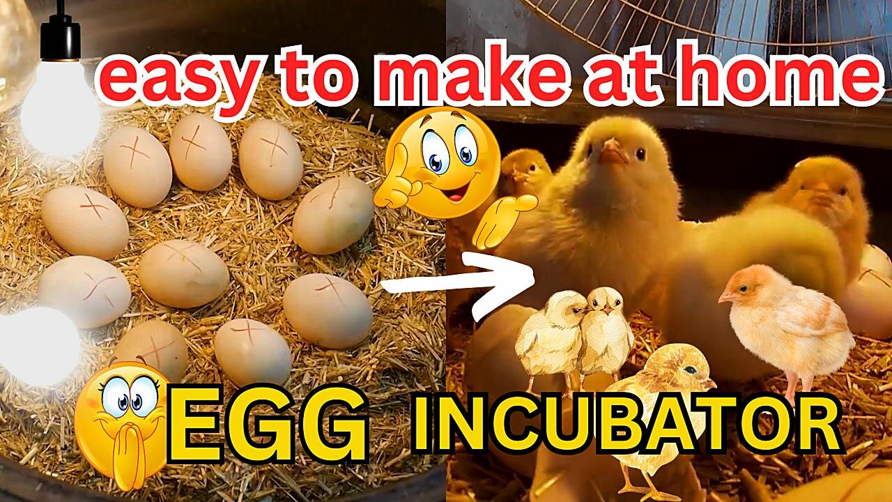 how to make egg incubator at home | Invention ideas Ep:04