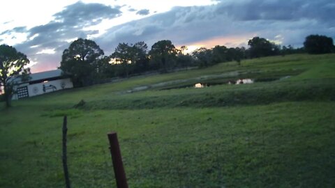 Thursday Sunset at Venus Ranch