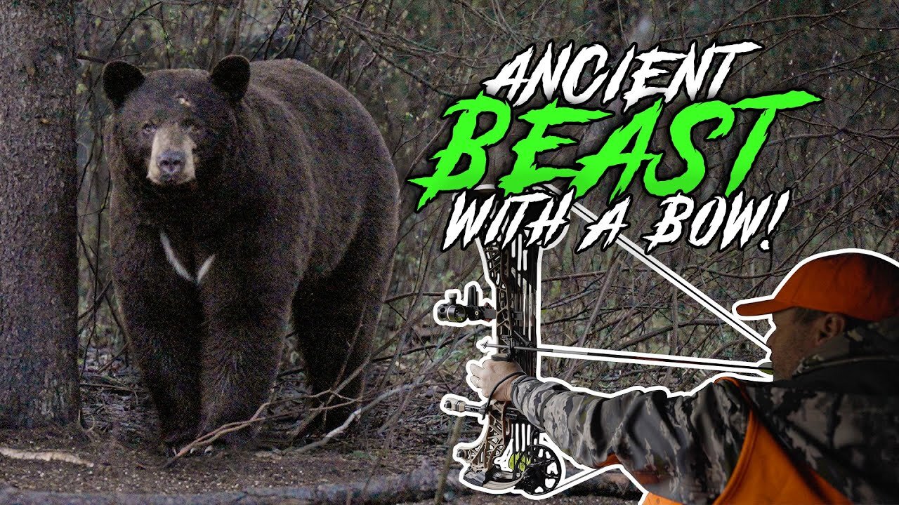 Bowhunting An ANCIENT Saskatchewan Black Bear! The Hunt for Big Red!