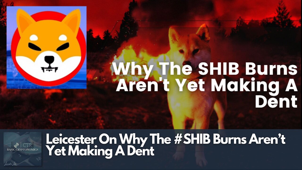 Leicester On Why The #SHIB Burns Aren’t Yet Making A Dent