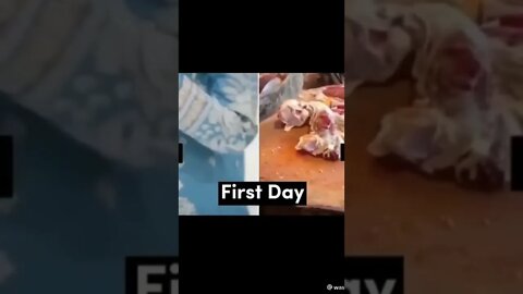 Eid funny 🤣🤣😁