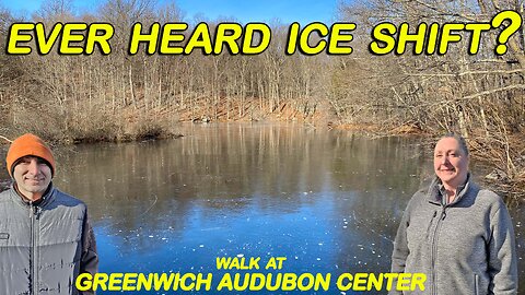 AN OMINOUS SOUND! | GREENWICH AUDUBON CENTER